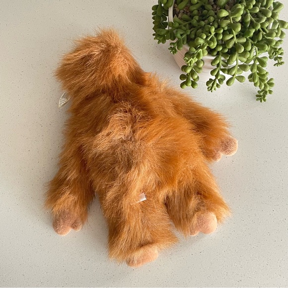 Ty Tango - Picture 4 of 9